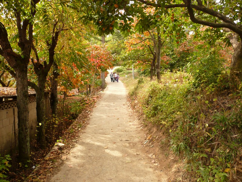 P1020440.jpg