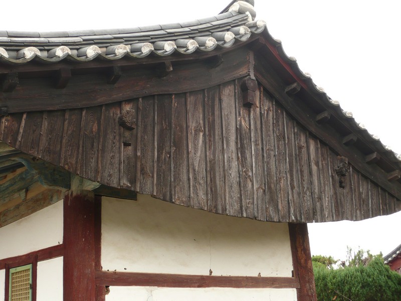 P1020490.jpg