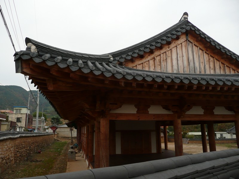 P1020501.jpg
