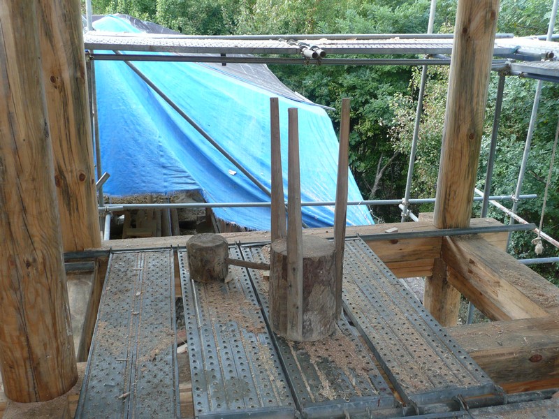 P1020569.jpg