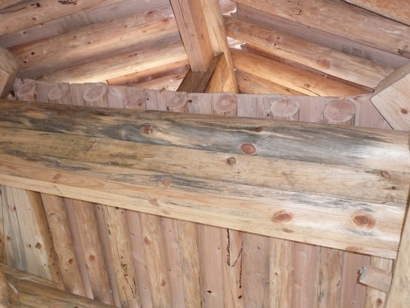P1020562.jpg