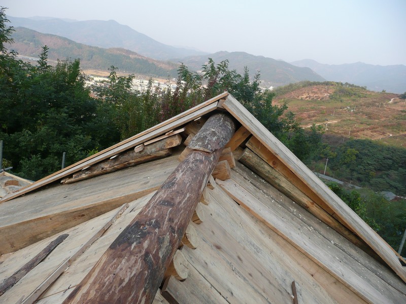 P1020537.jpg