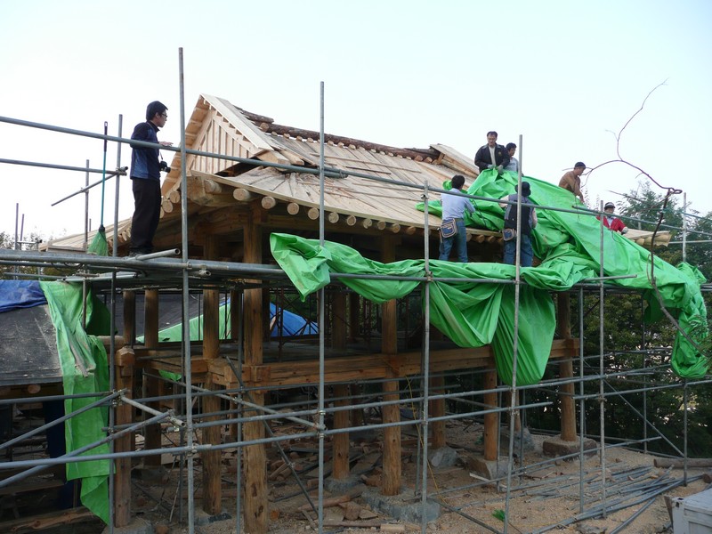 P1020545.jpg