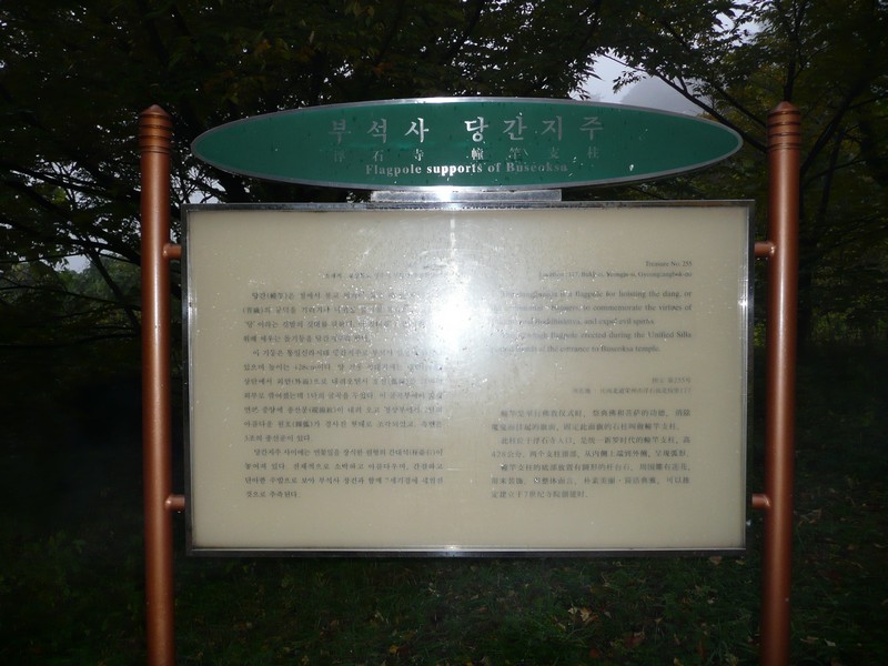 P1020618.jpg