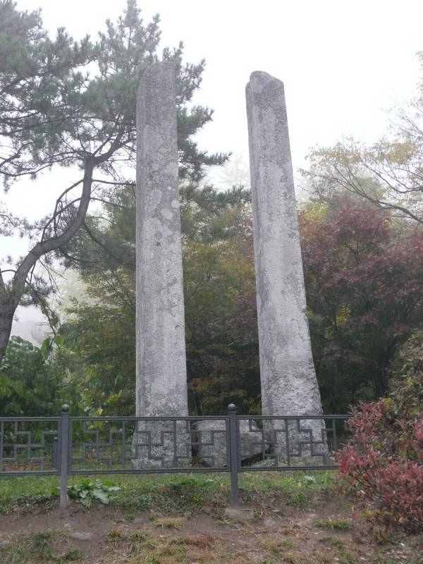 P1020619.jpg