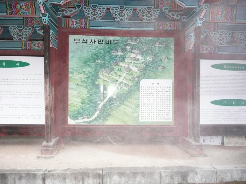 P1020611.jpg