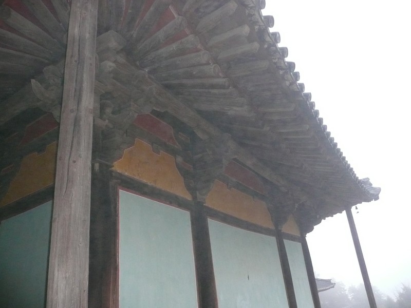P1020640.jpg