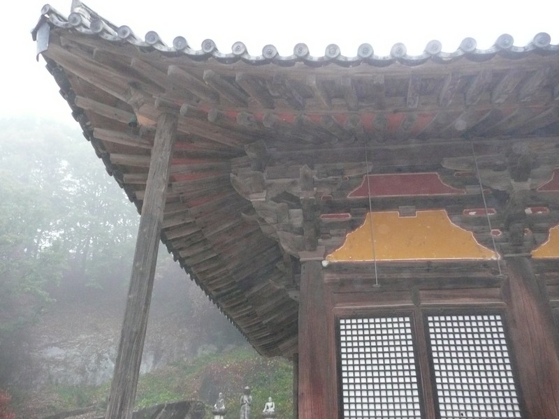 P1020636.jpg