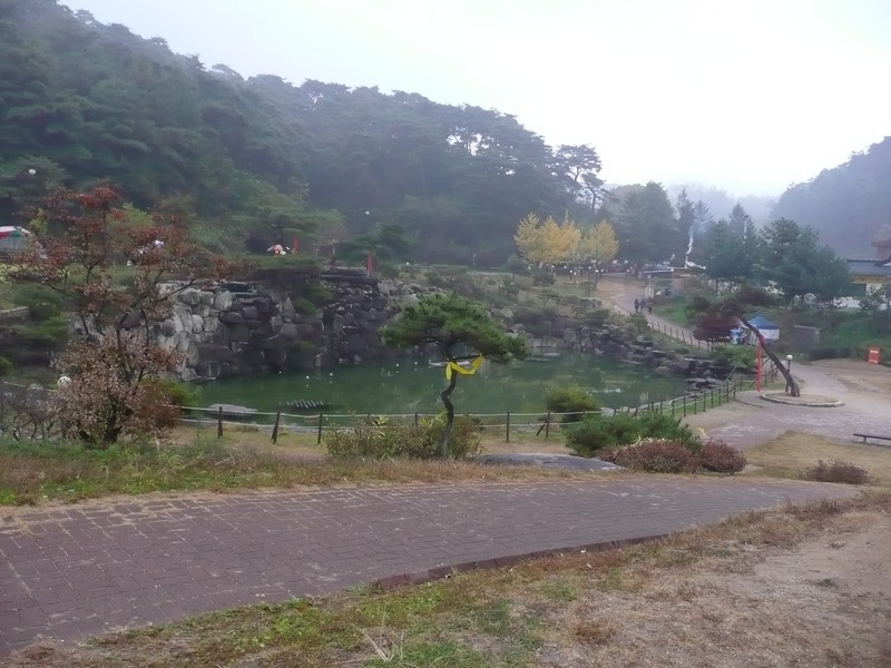 P1020609.jpg