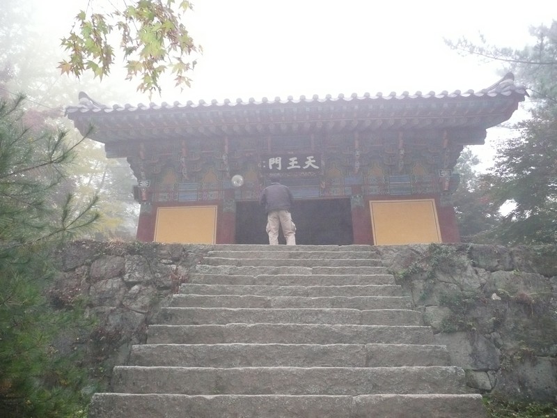 P1020620.jpg