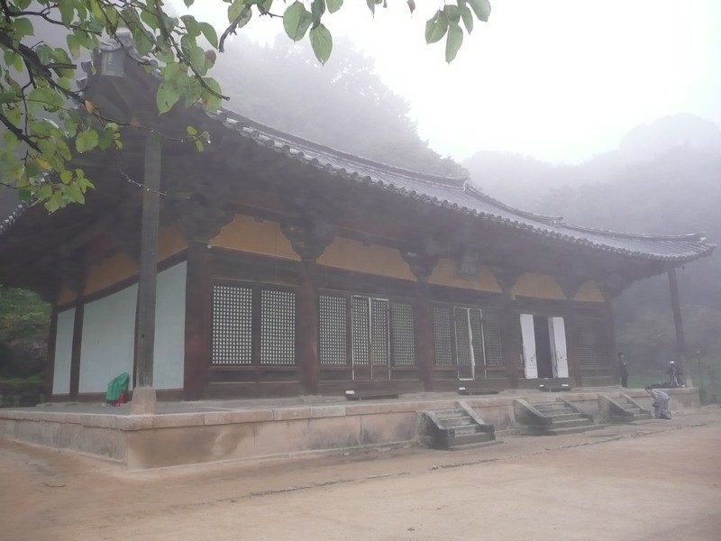 P1020633.jpg