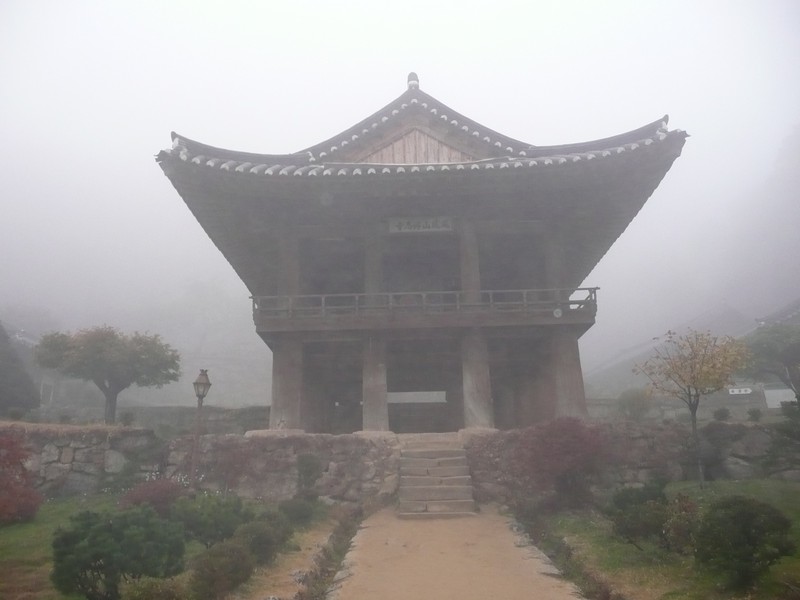 P1020629.jpg