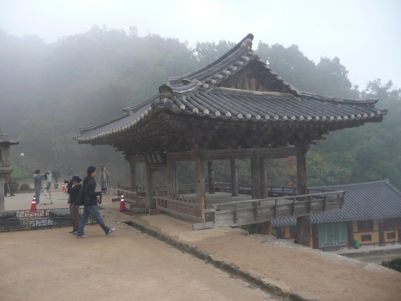 P1020634.jpg
