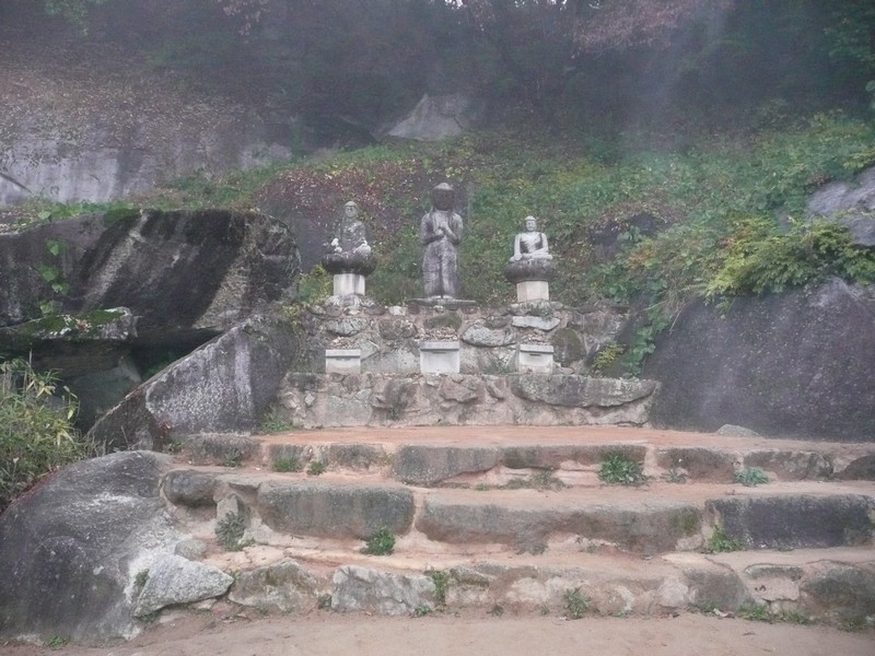 P1020637.jpg