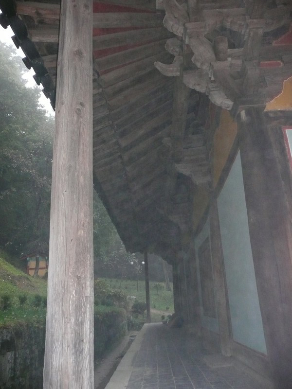 P1020641.jpg