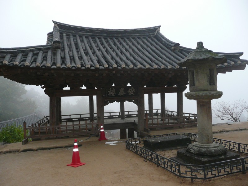 P1020644.jpg
