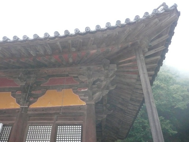 P1020645.jpg