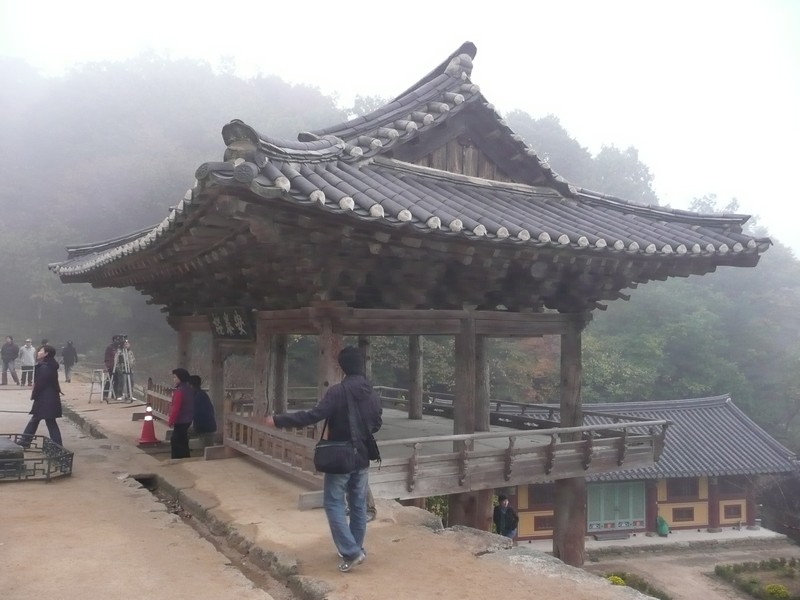 P1020635.jpg
