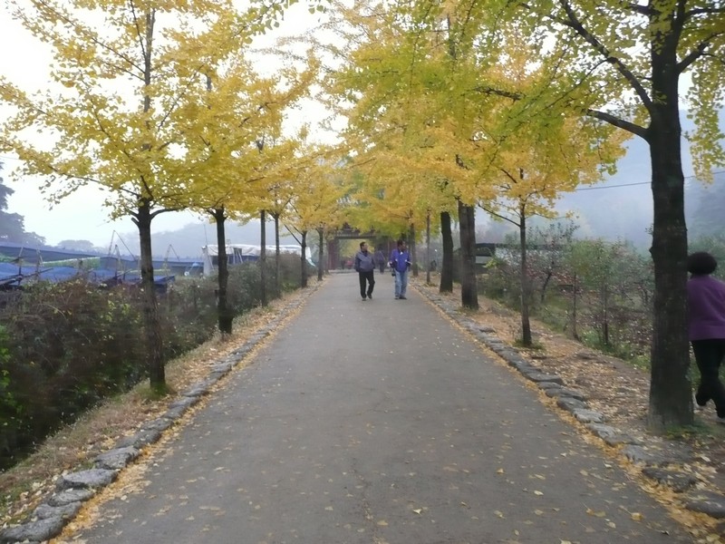 P1020614.jpg