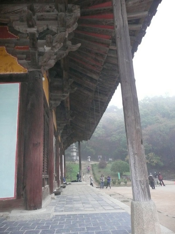 P1020642.jpg