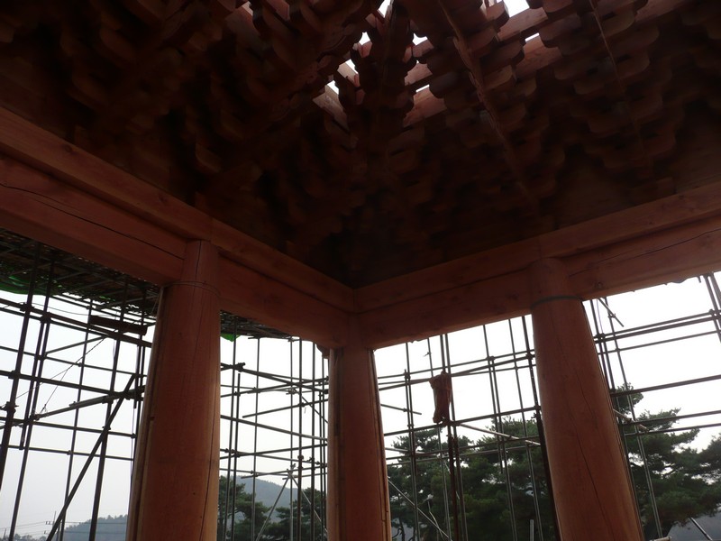 P1020657.jpg