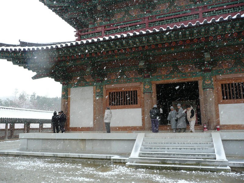 P1020715.jpg