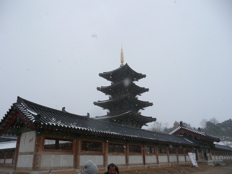 P1020716.jpg