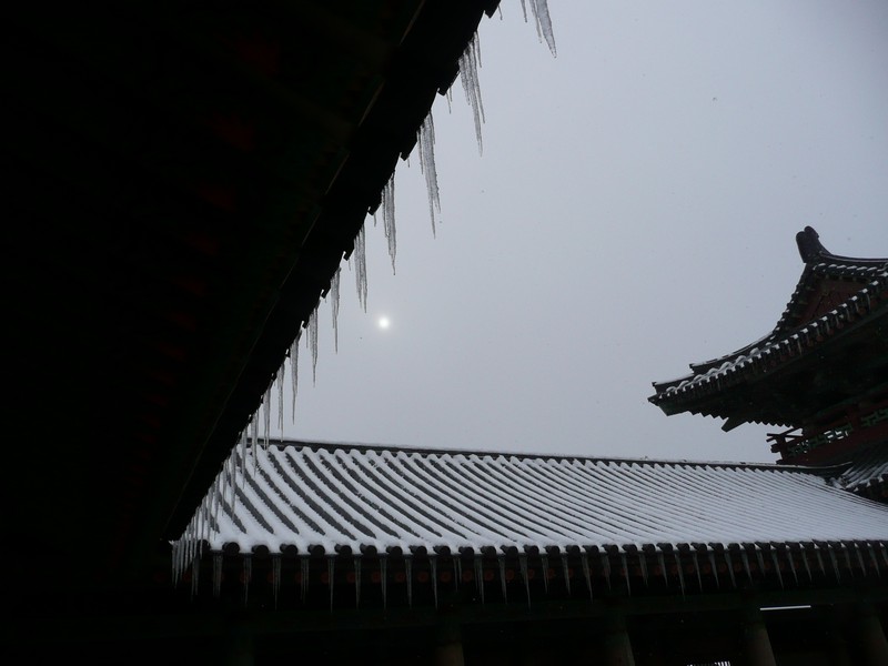 P1020731.jpg