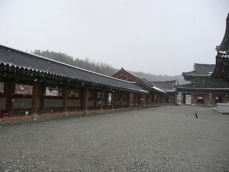 P1020699.jpg