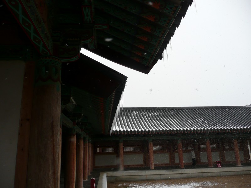 P1020721.jpg