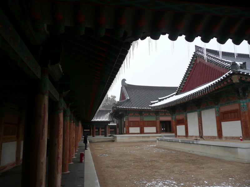 P1020726.jpg