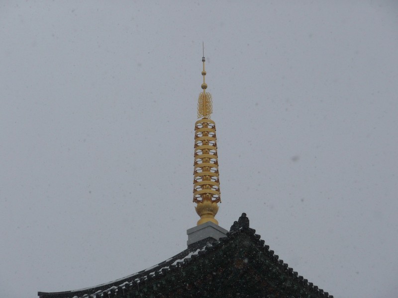 P1020717.jpg