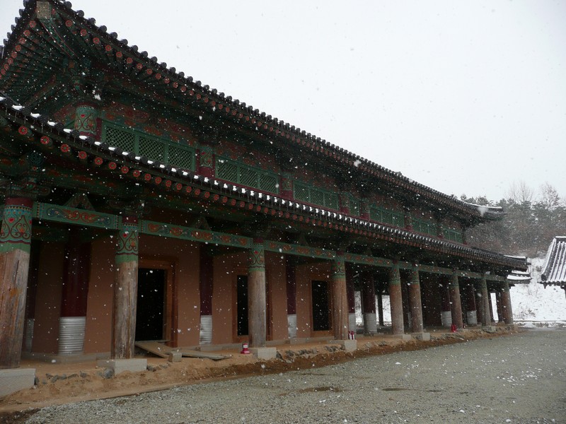 P1020713.jpg