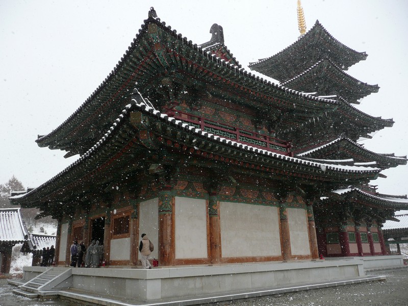 P1020714.jpg