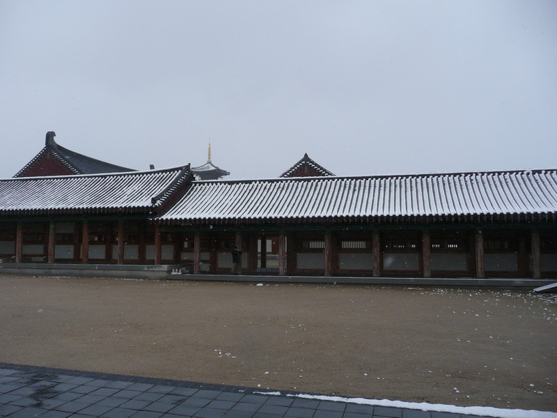 P1020737.jpg