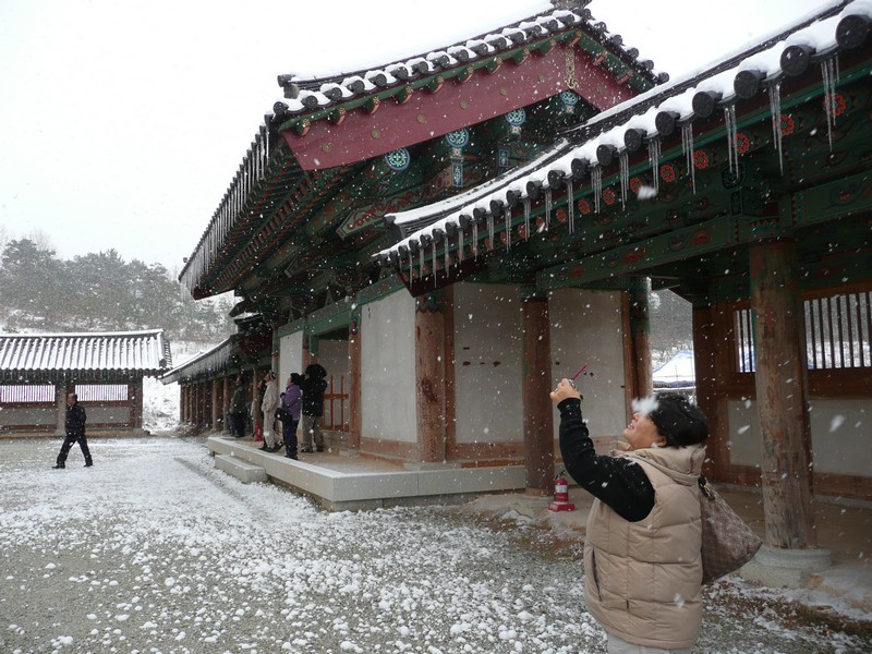 P1020697.jpg
