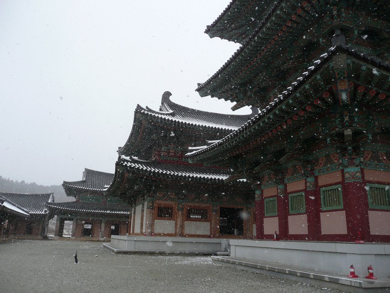 P1020698.jpg
