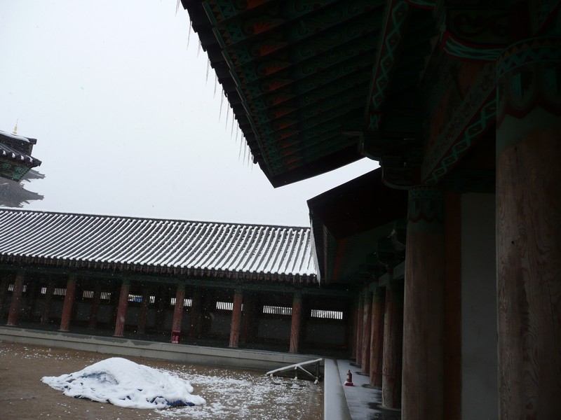 P1020722.jpg