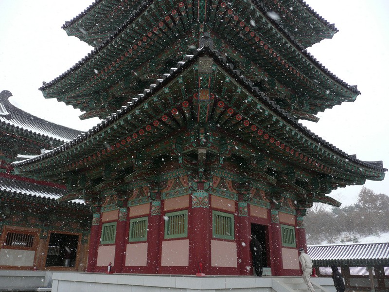 P1020700.jpg