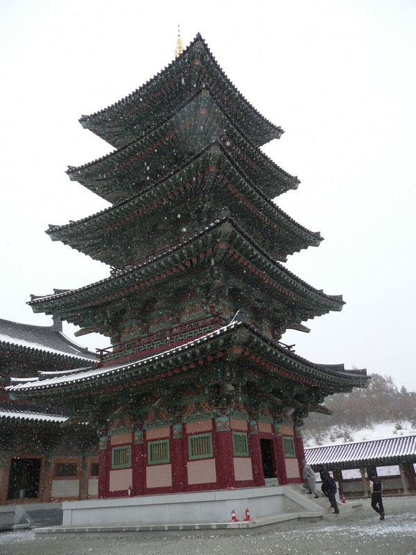 P1020696.jpg