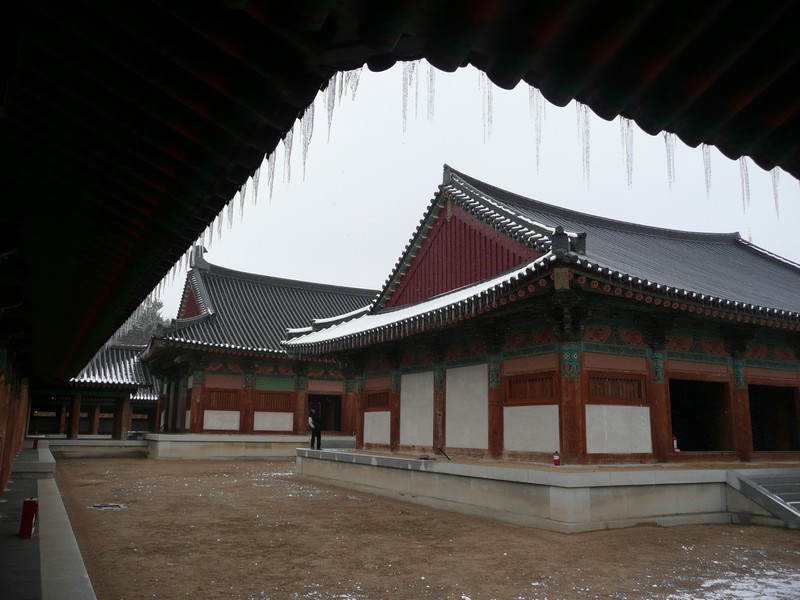 P1020727.jpg