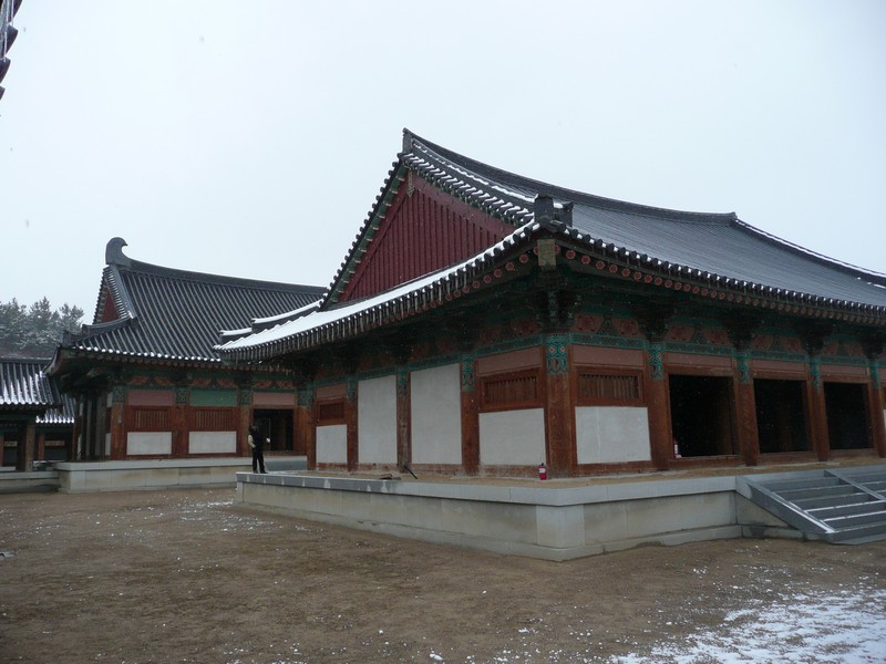 P1020728.jpg
