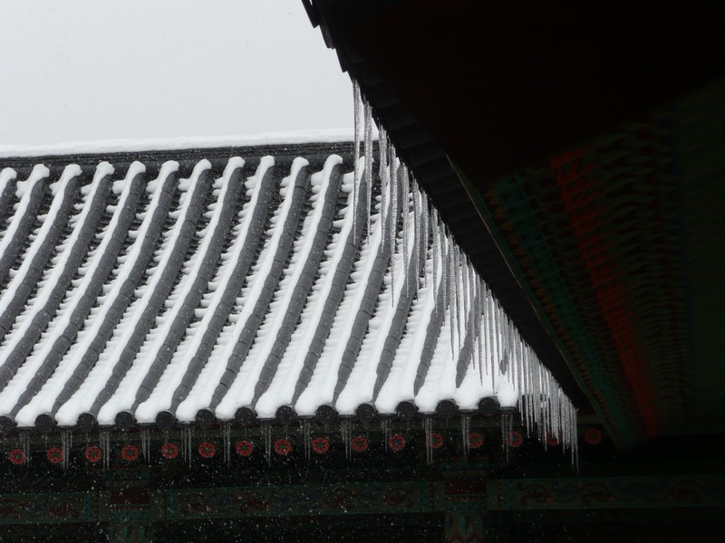 P1020723.jpg