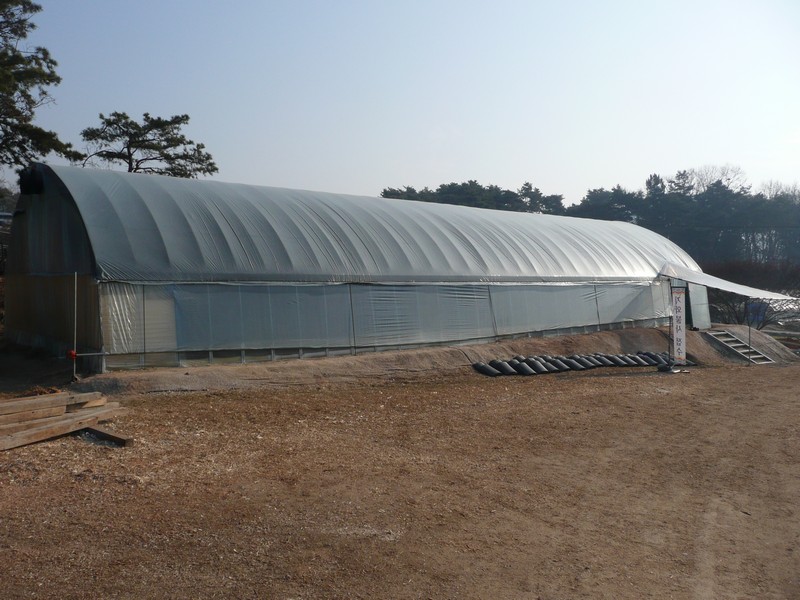 P1020837.jpg
