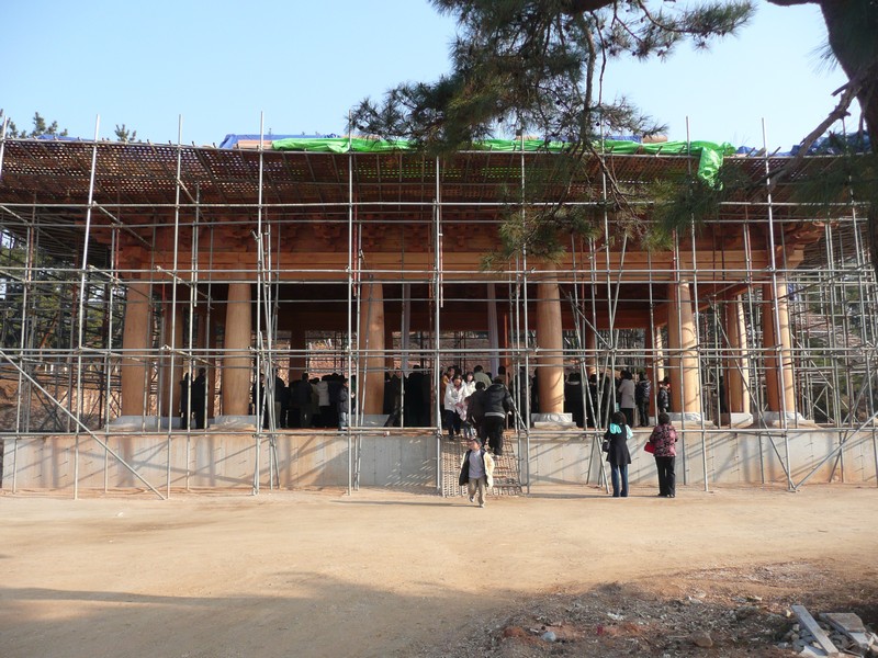 P1020823.jpg