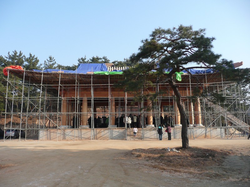 P1020824.jpg