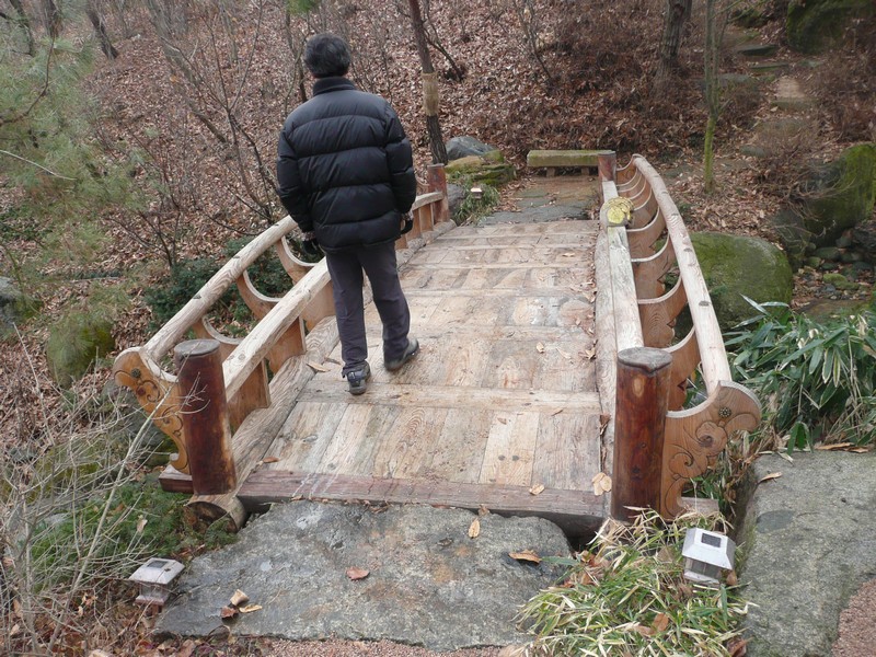P1020948.jpg