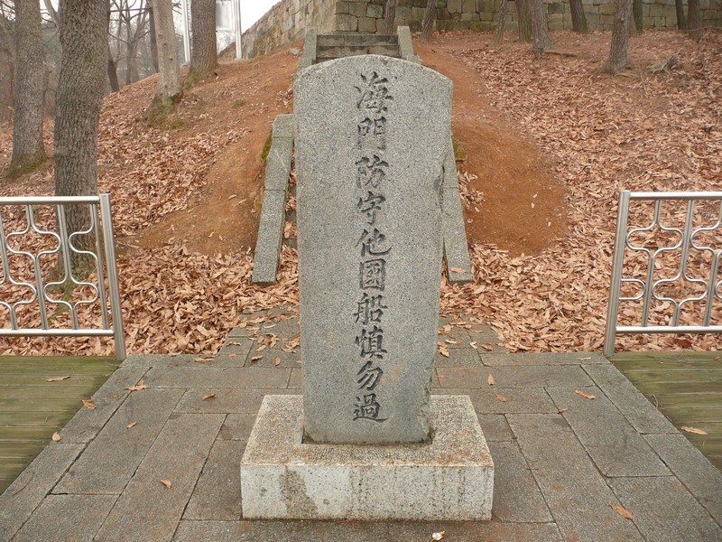 P1020964.jpg