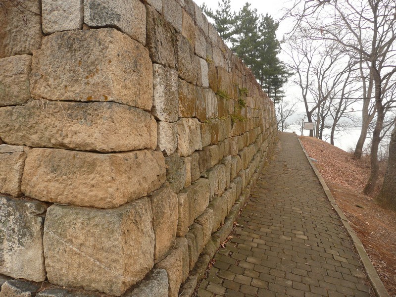 P1020957.jpg