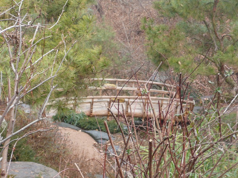 P1020933.jpg